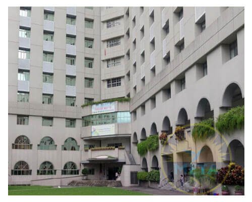 China Medical University 2 china medical university